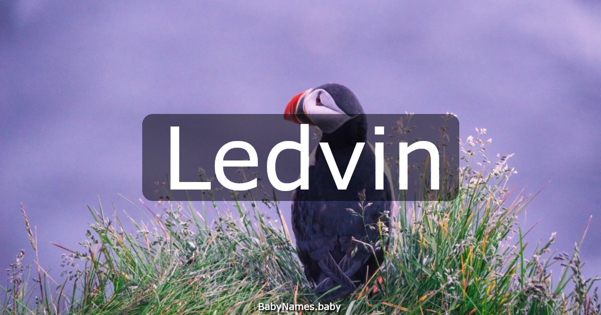 Ledvin