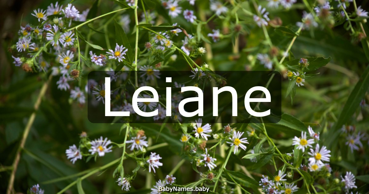 Leiane