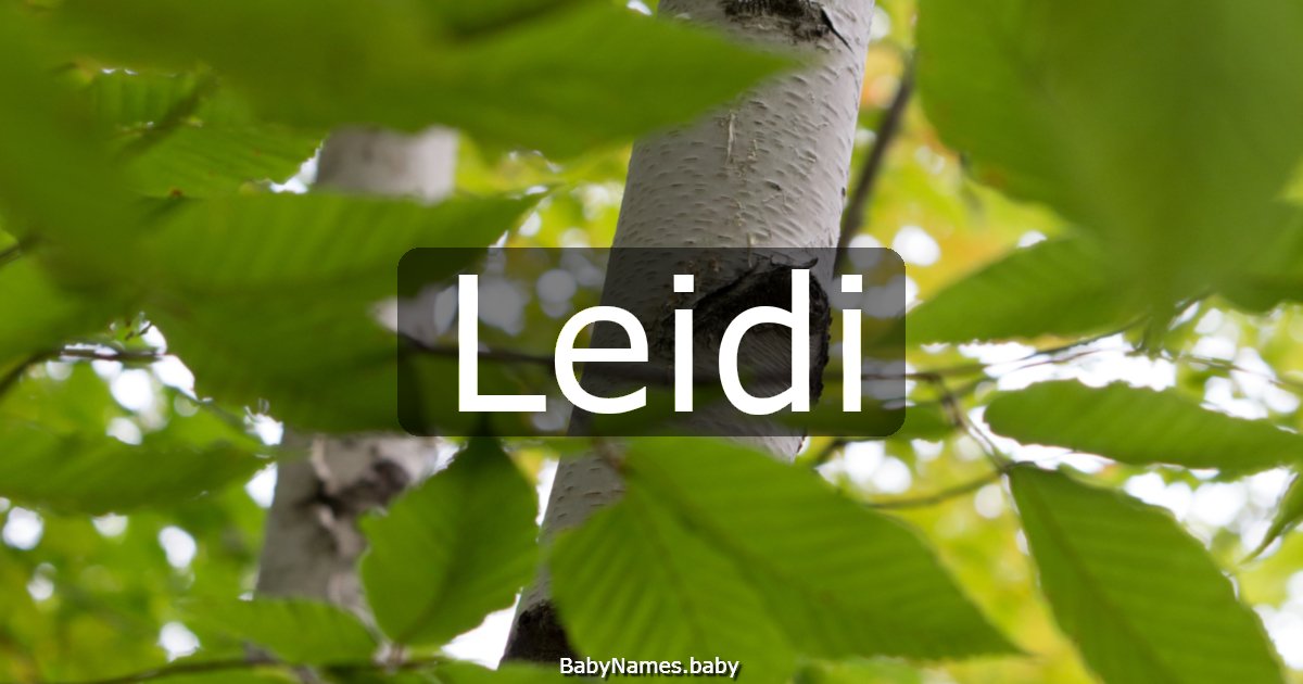 Leidi