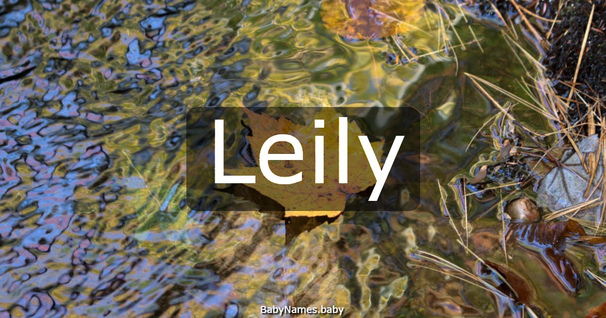 Leily