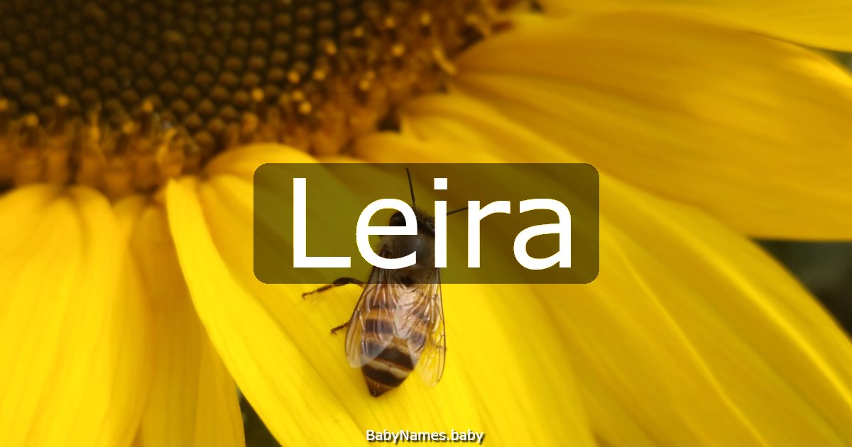 Leira