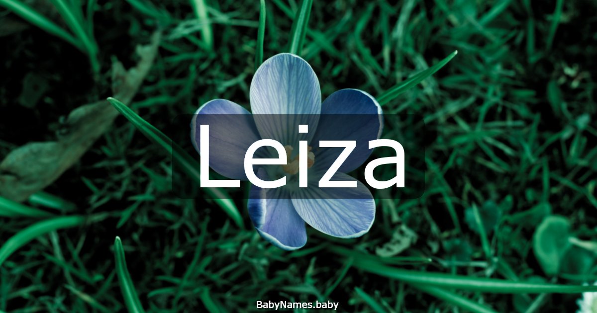 Leiza