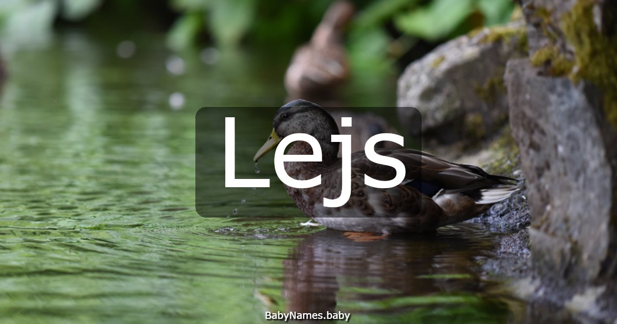 Lejs