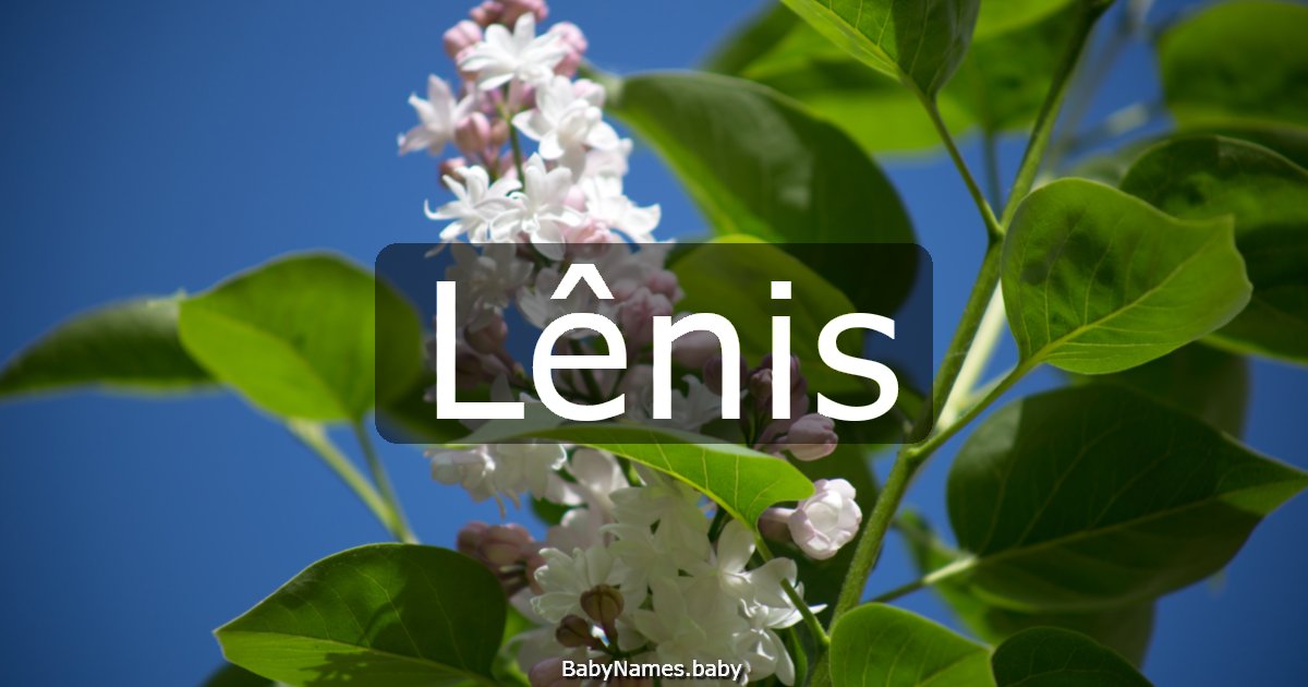 Lênis