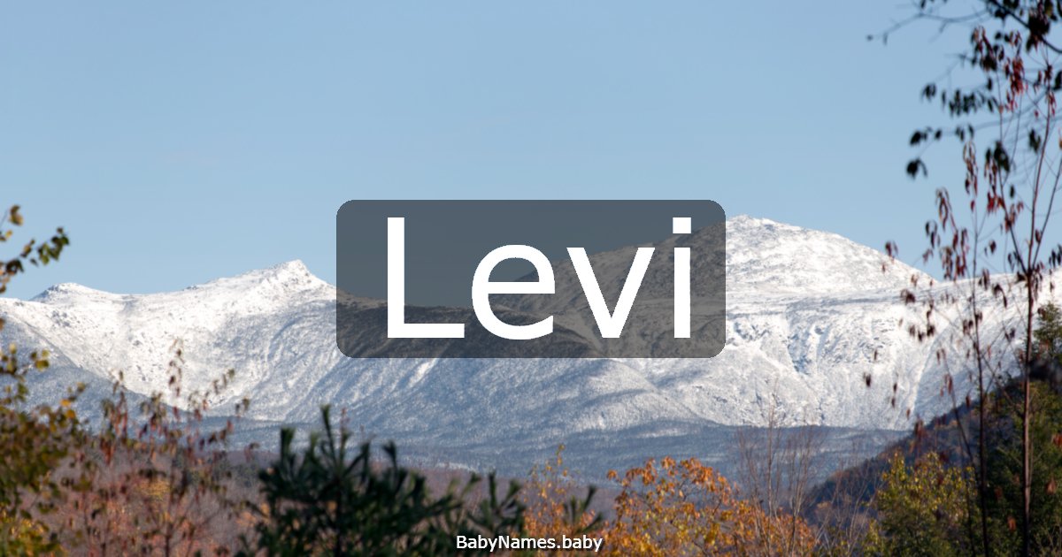 Levi