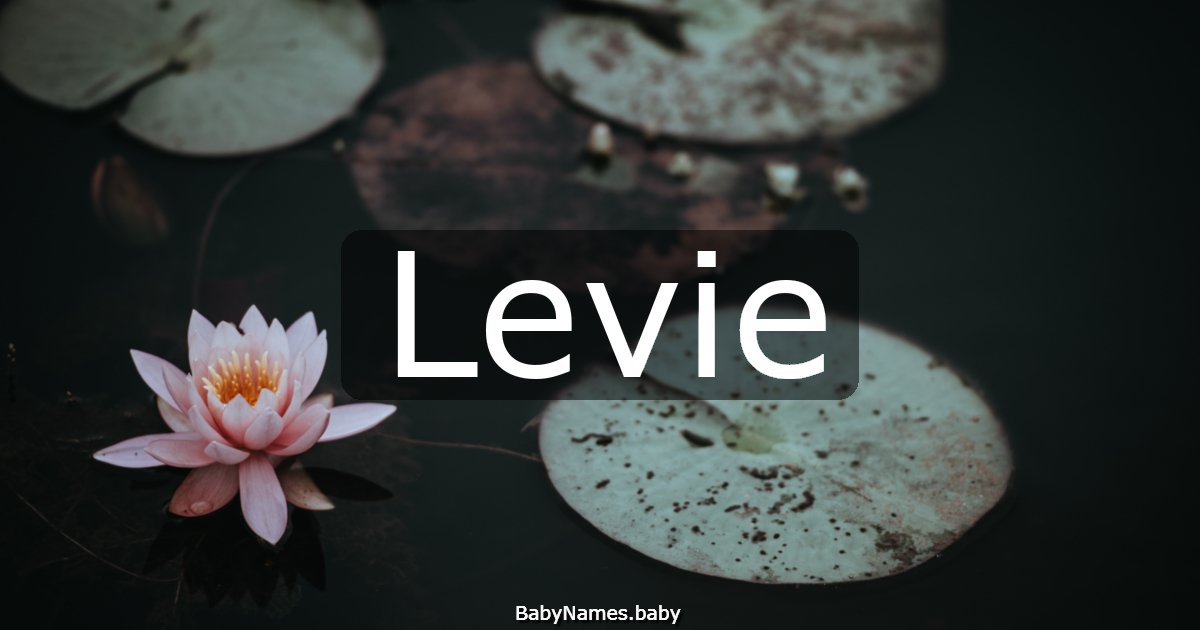 Levie