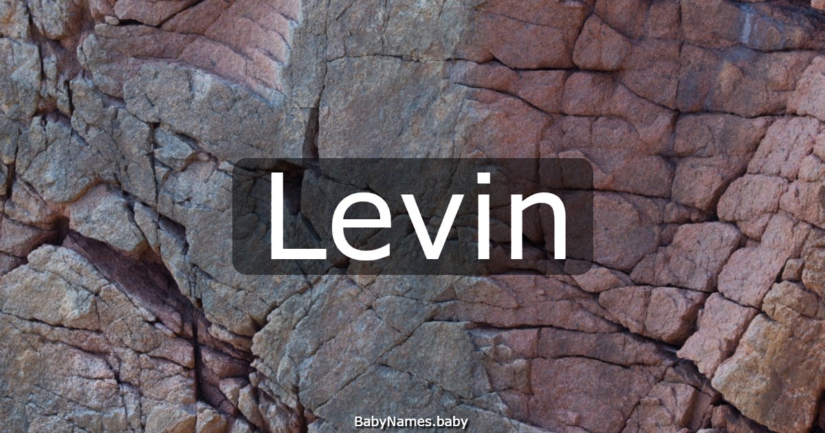 Levin