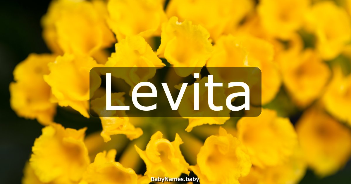 Levita