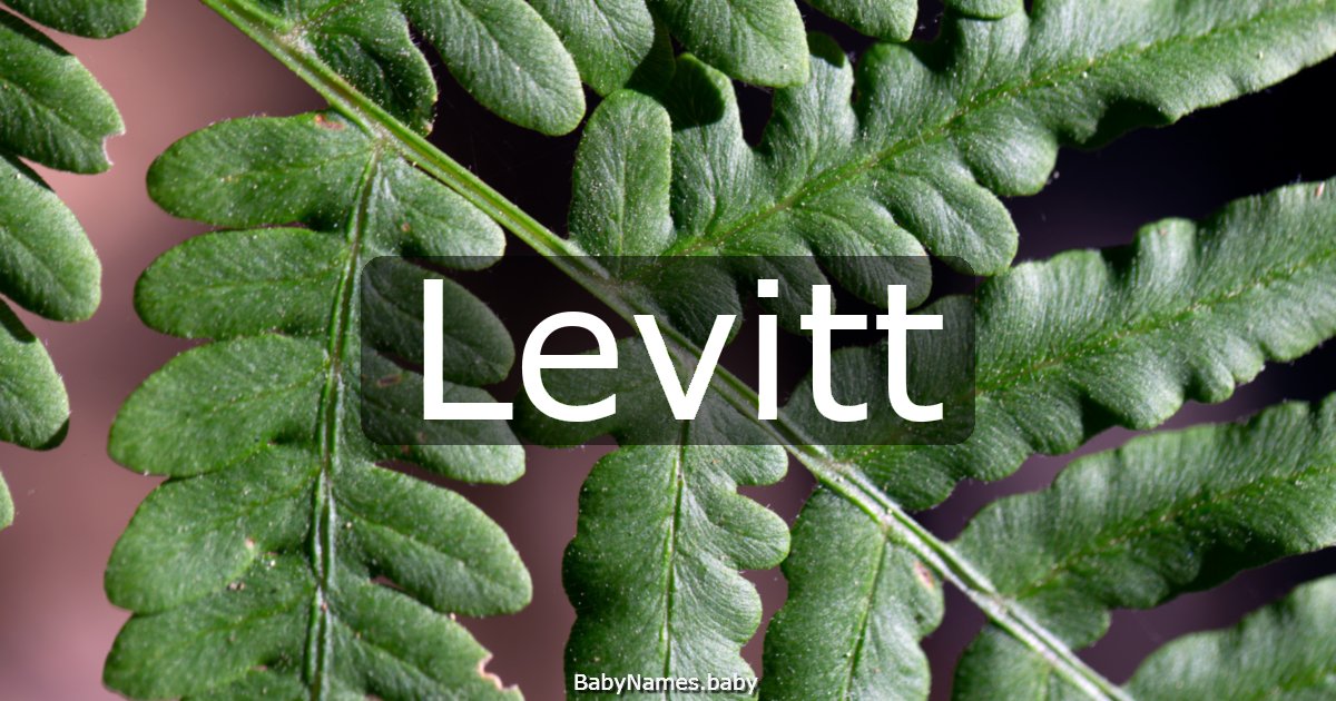 Levitt