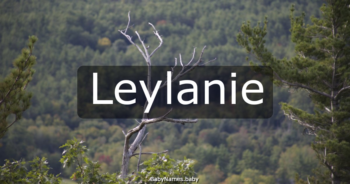 Leylanie