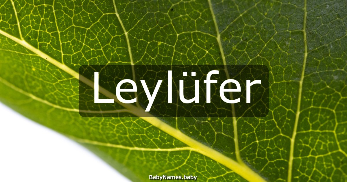 Leylüfer