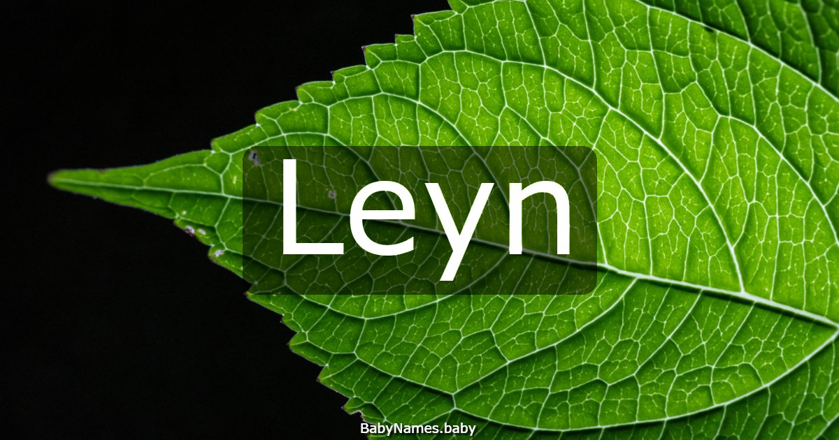Leyn