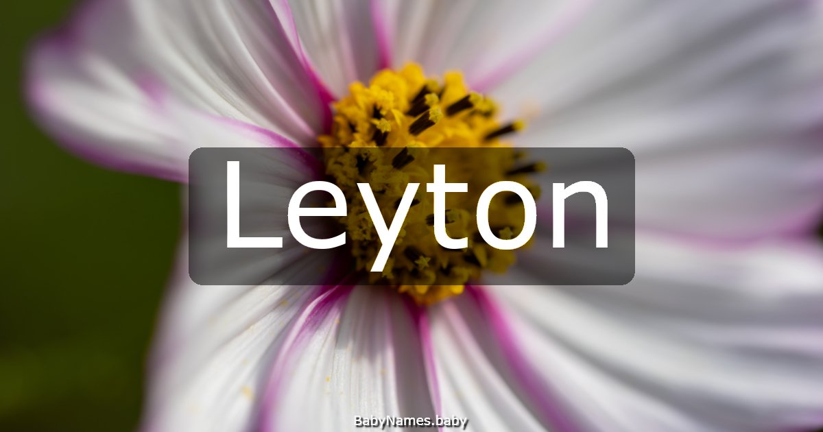 Leyton
