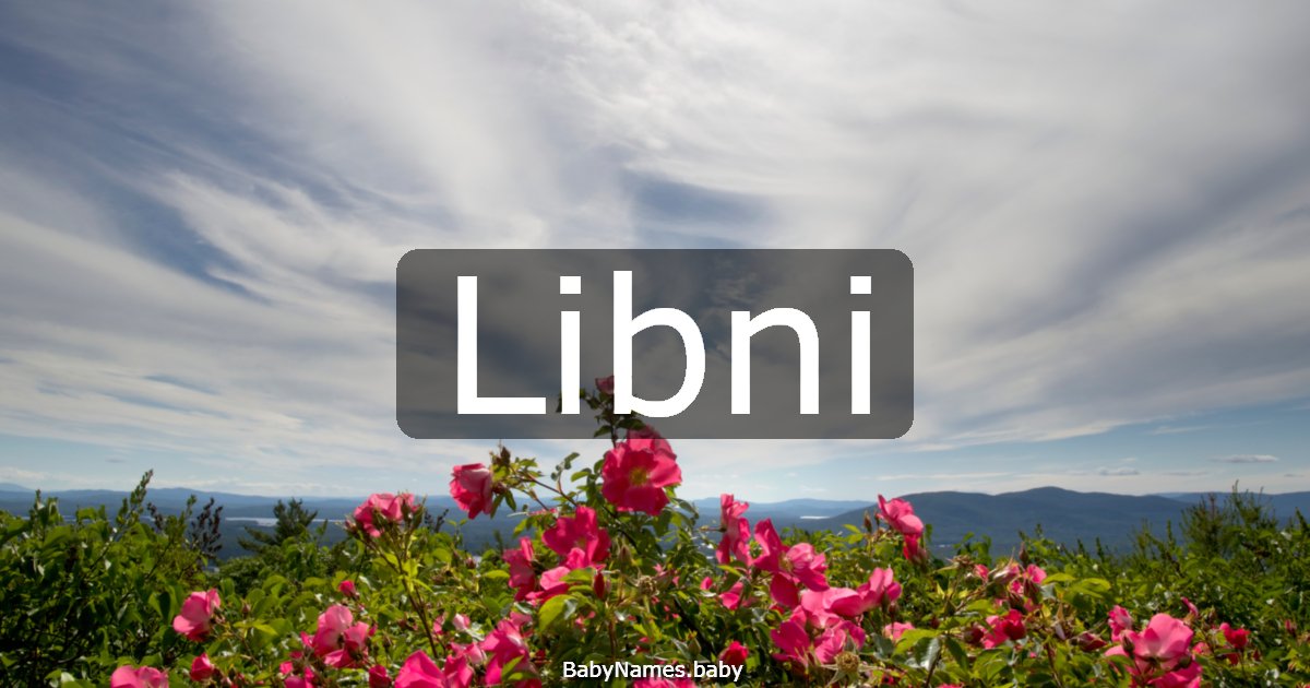 Libni