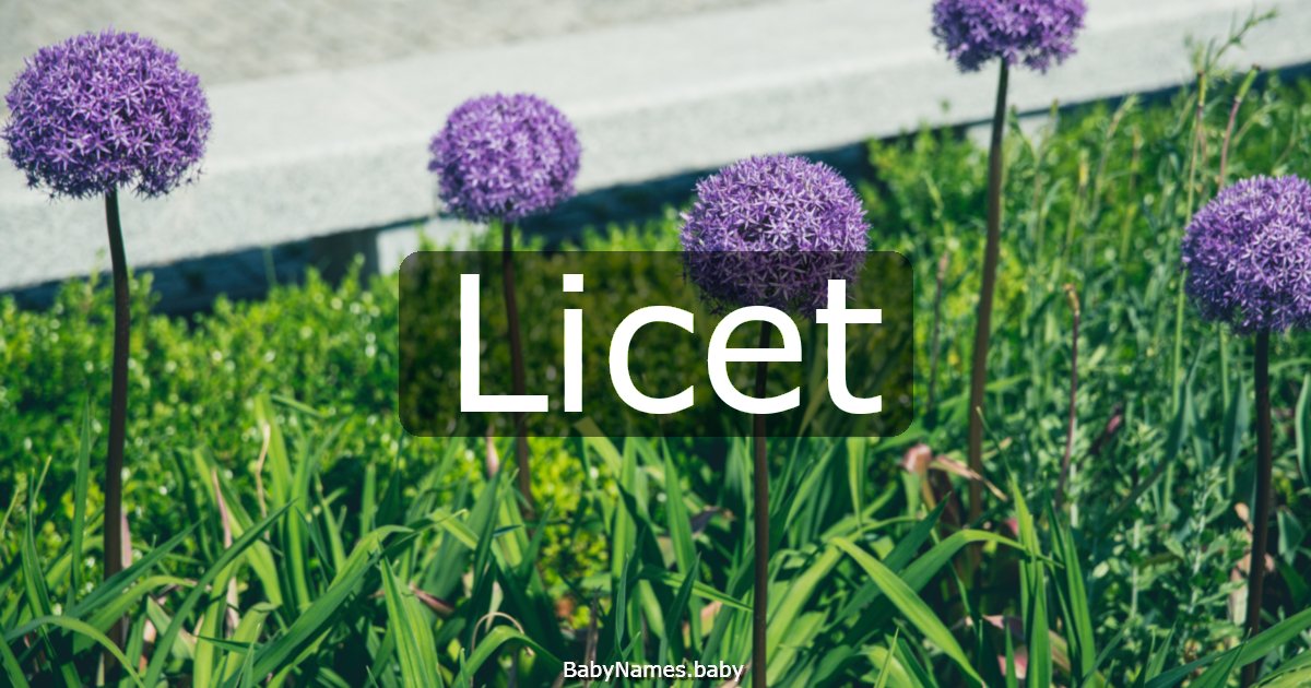 Licet