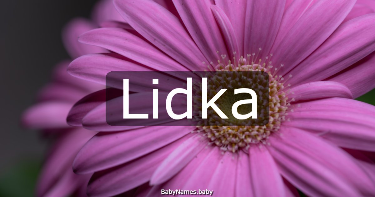 Lidka