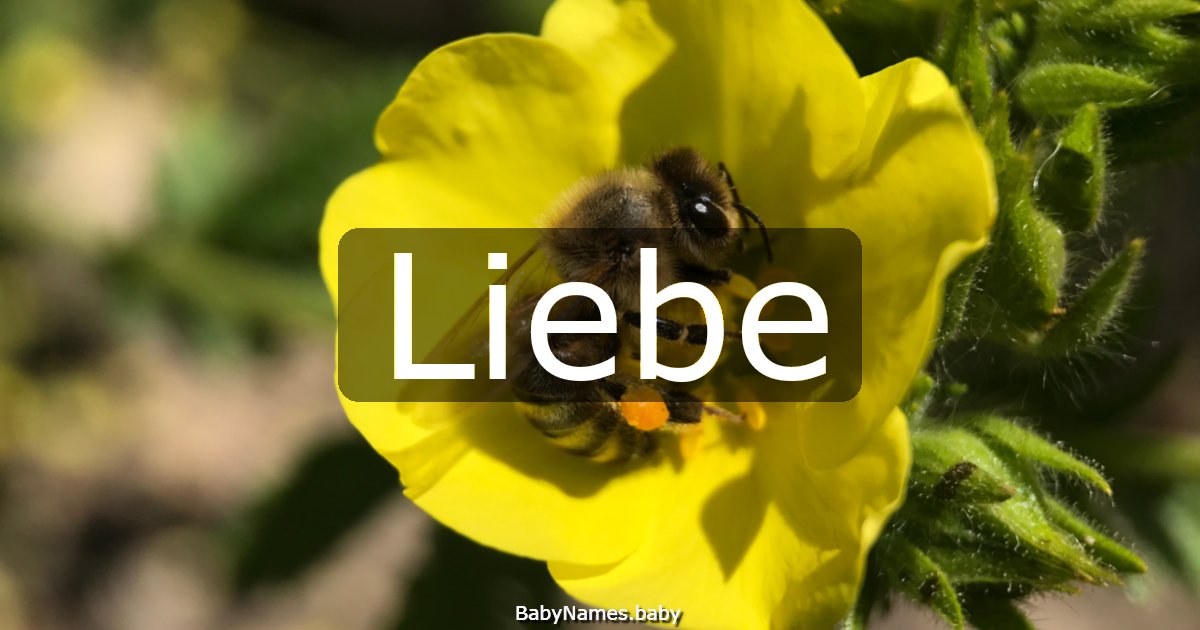 Liebe