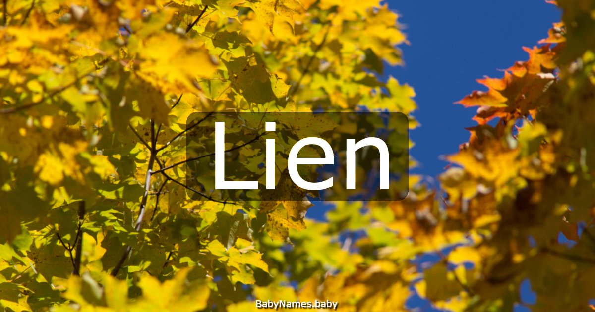 Lien