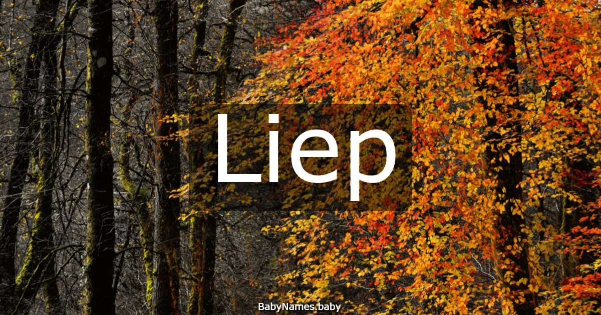 Liep