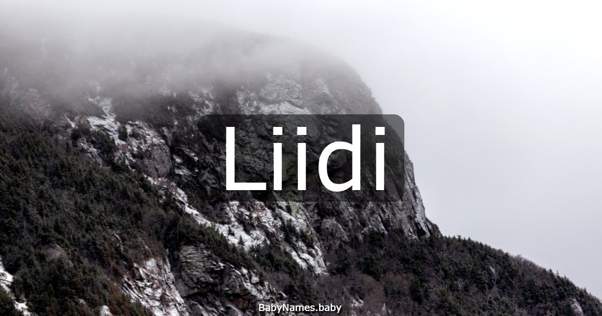 Liidi