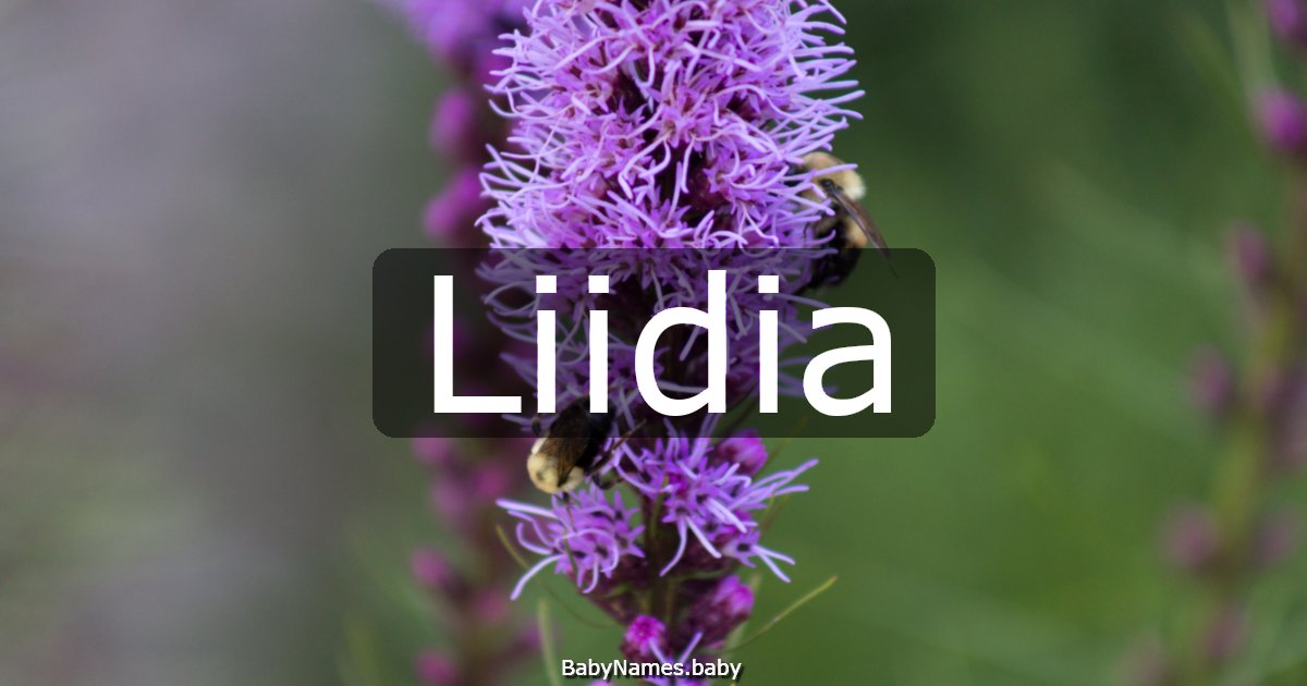 Liidia