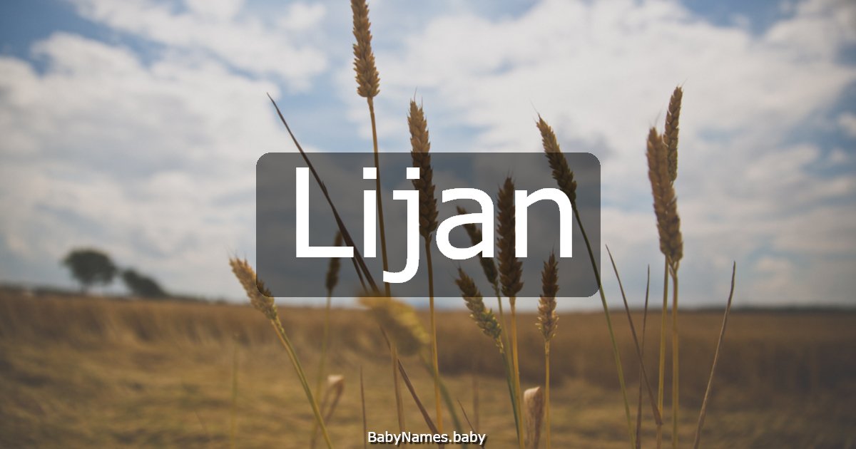 Lijan