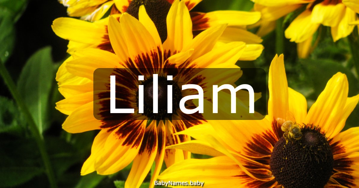 Liliam