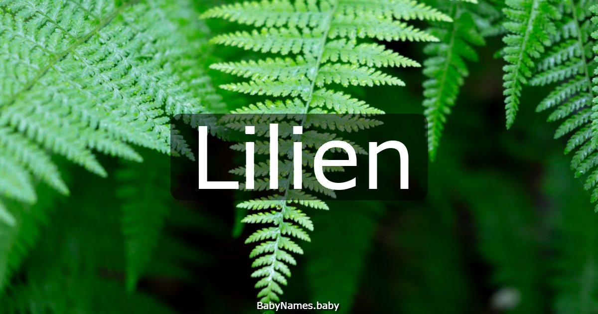 Lilien