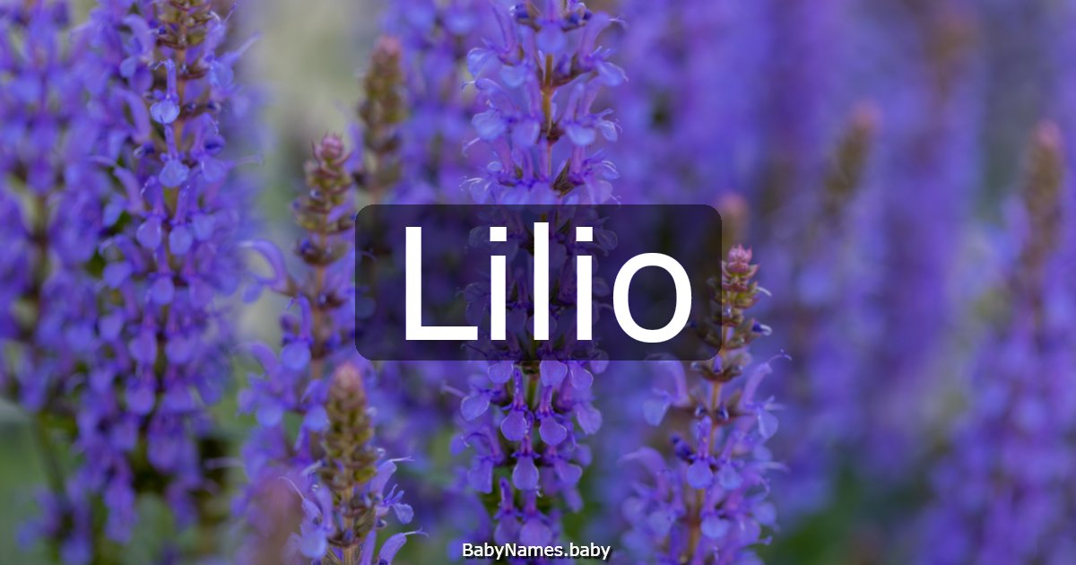 Lilio