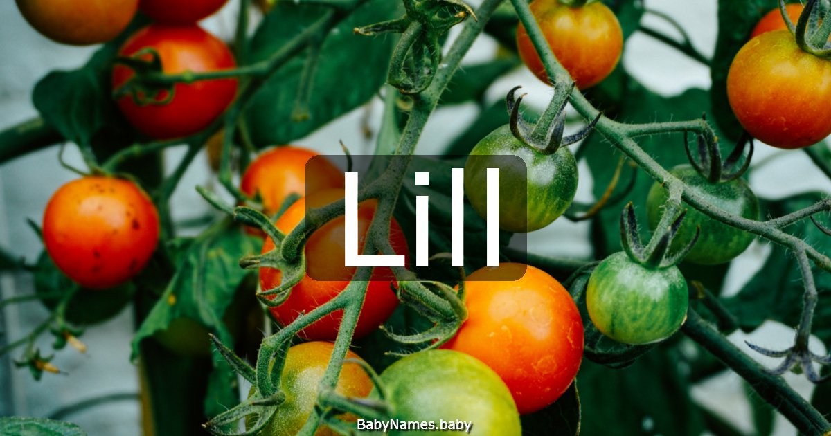 Lill