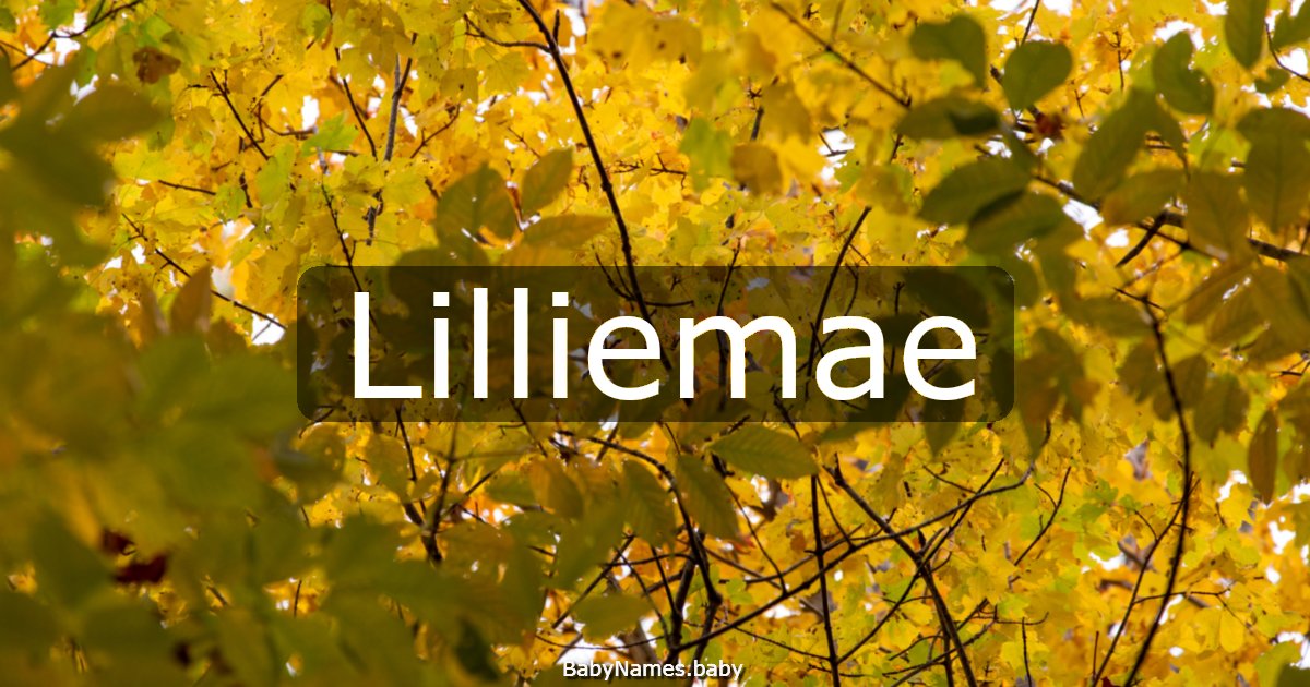 Lilliemae