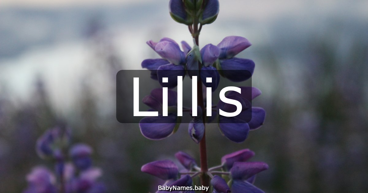 Lillis