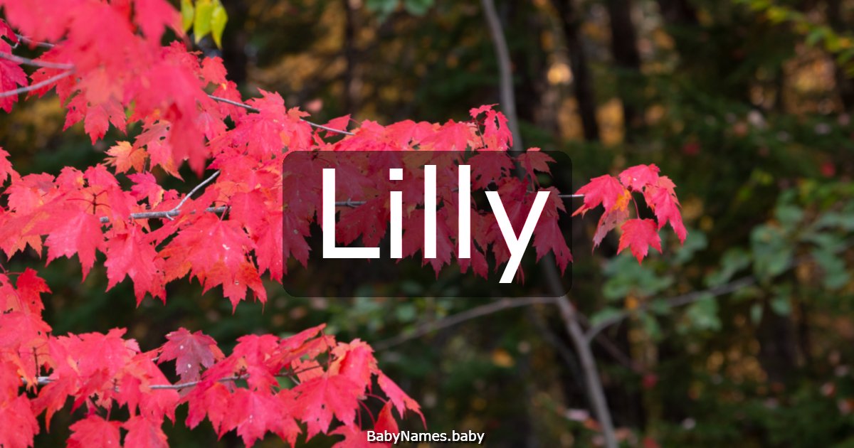 Lilly
