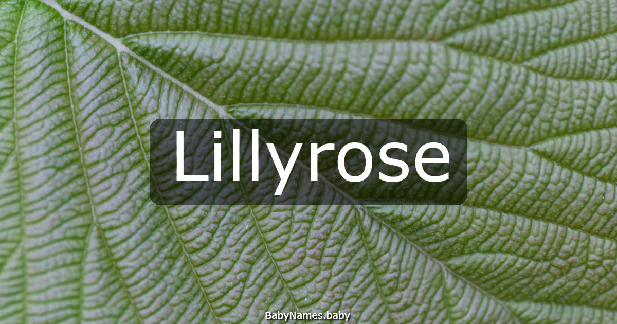 Lillyrose