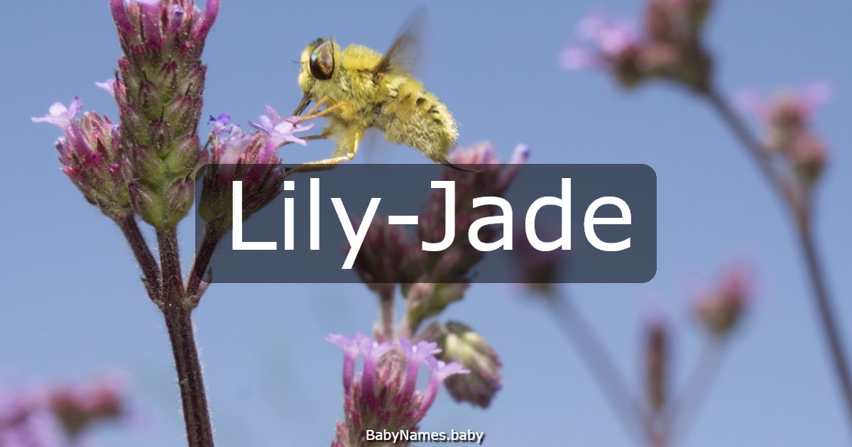 Lily-Jade