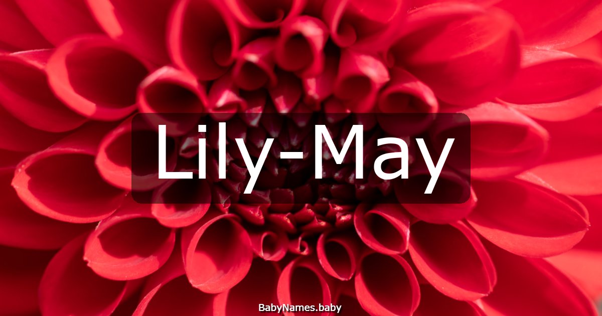 Lily-May