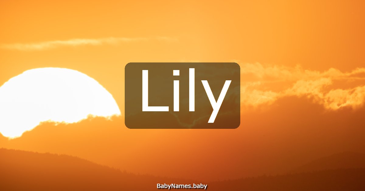 Lily