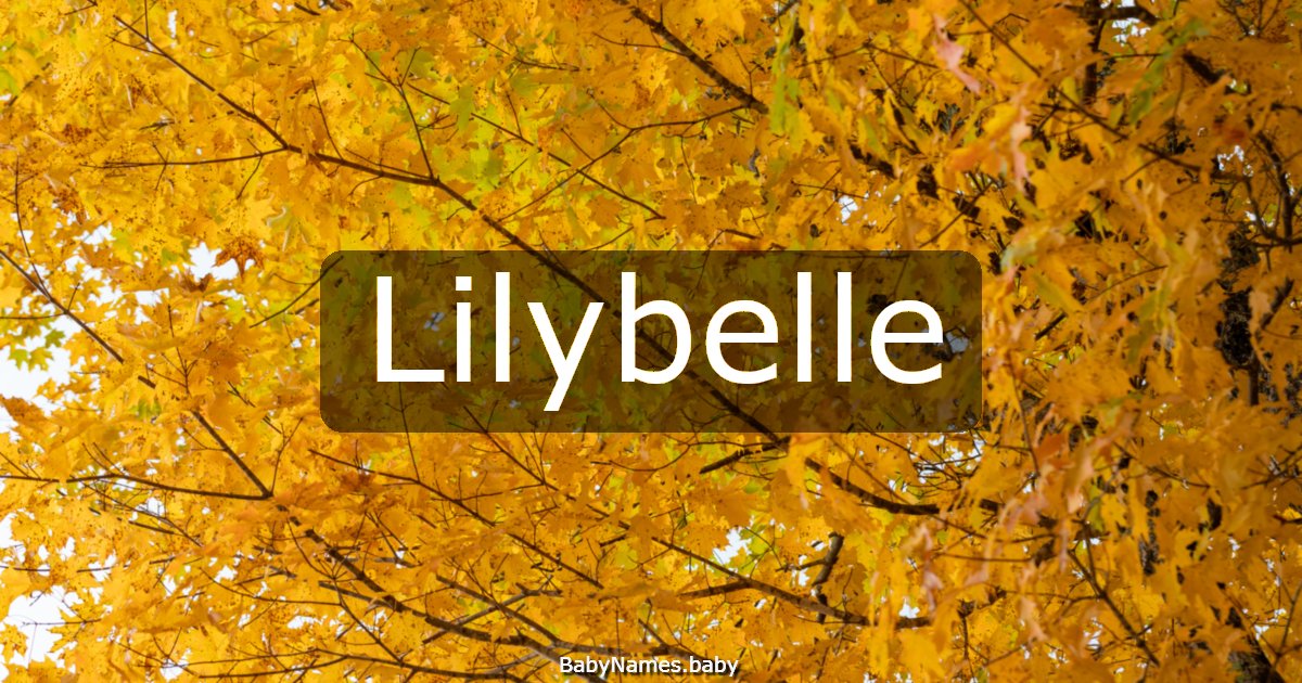Lilybelle