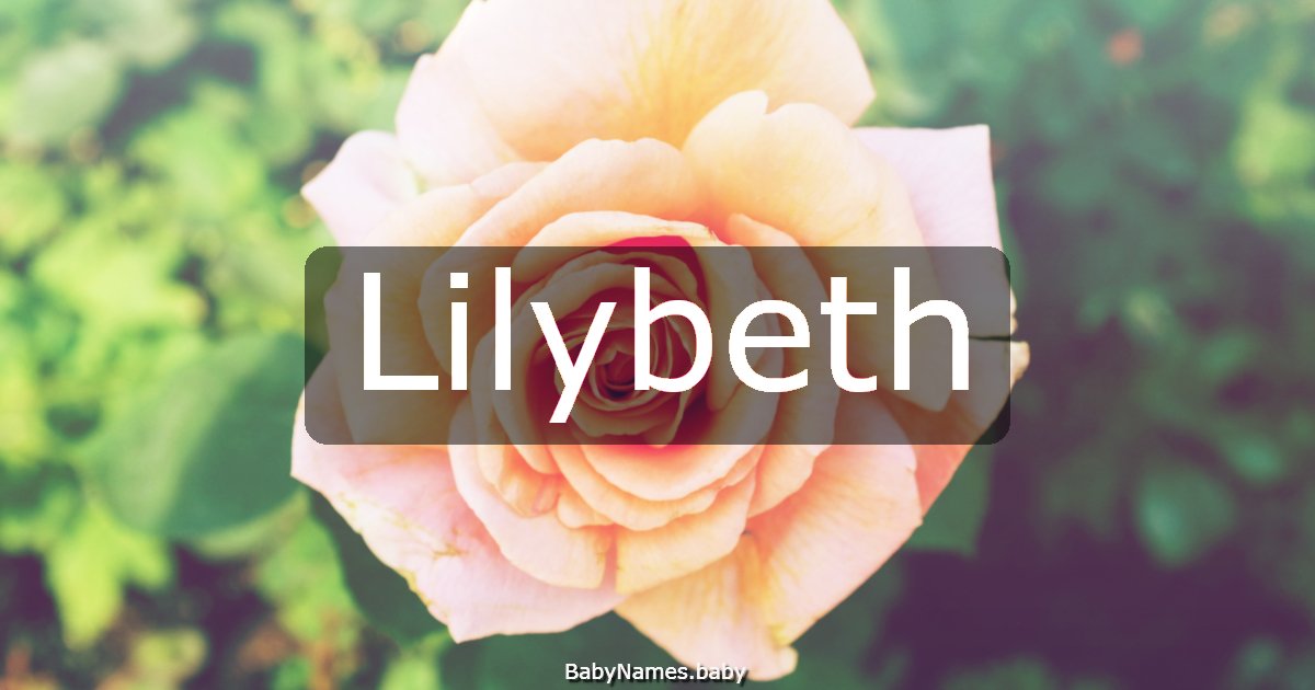 Lilybeth