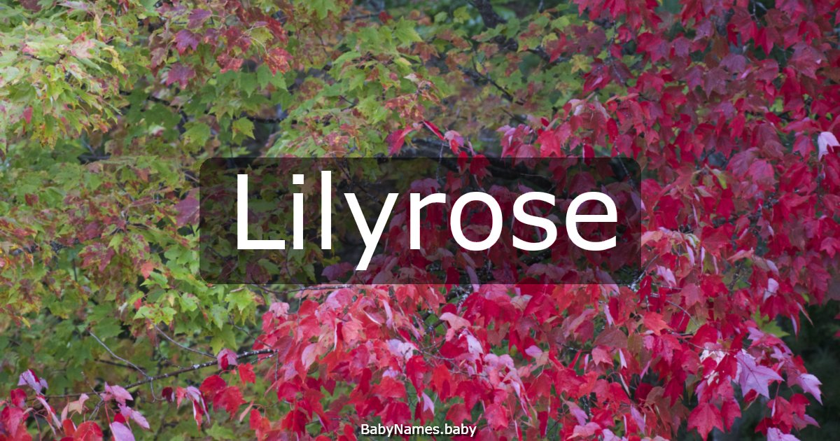 Lilyrose