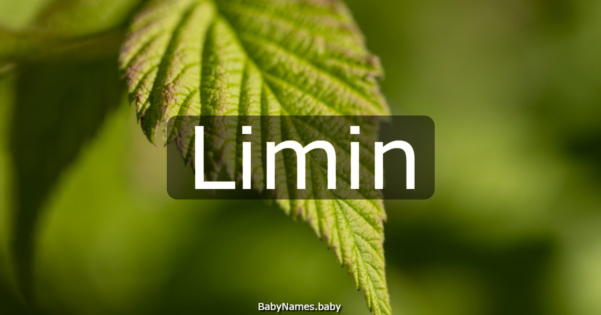 Limin