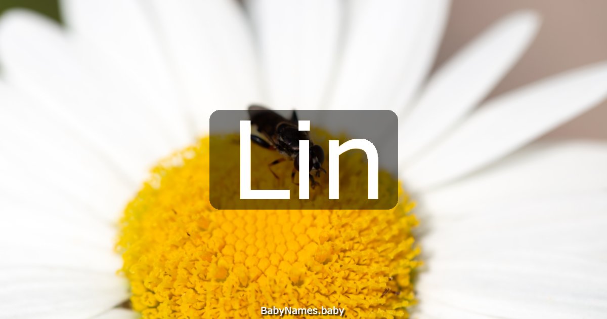 Lin