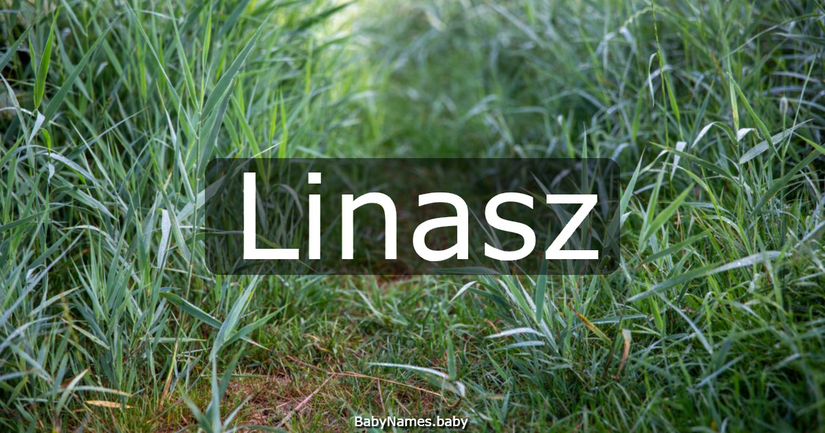 Linasz