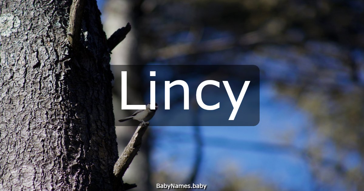 Lincy