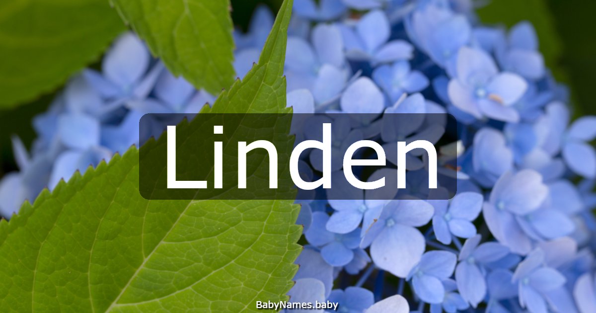 Linden