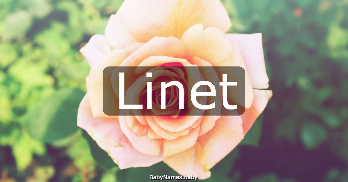 Linet
