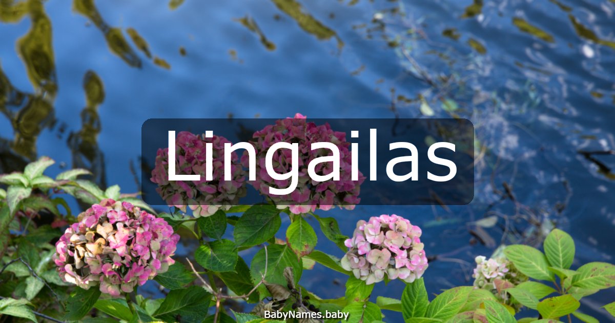 Lingailas