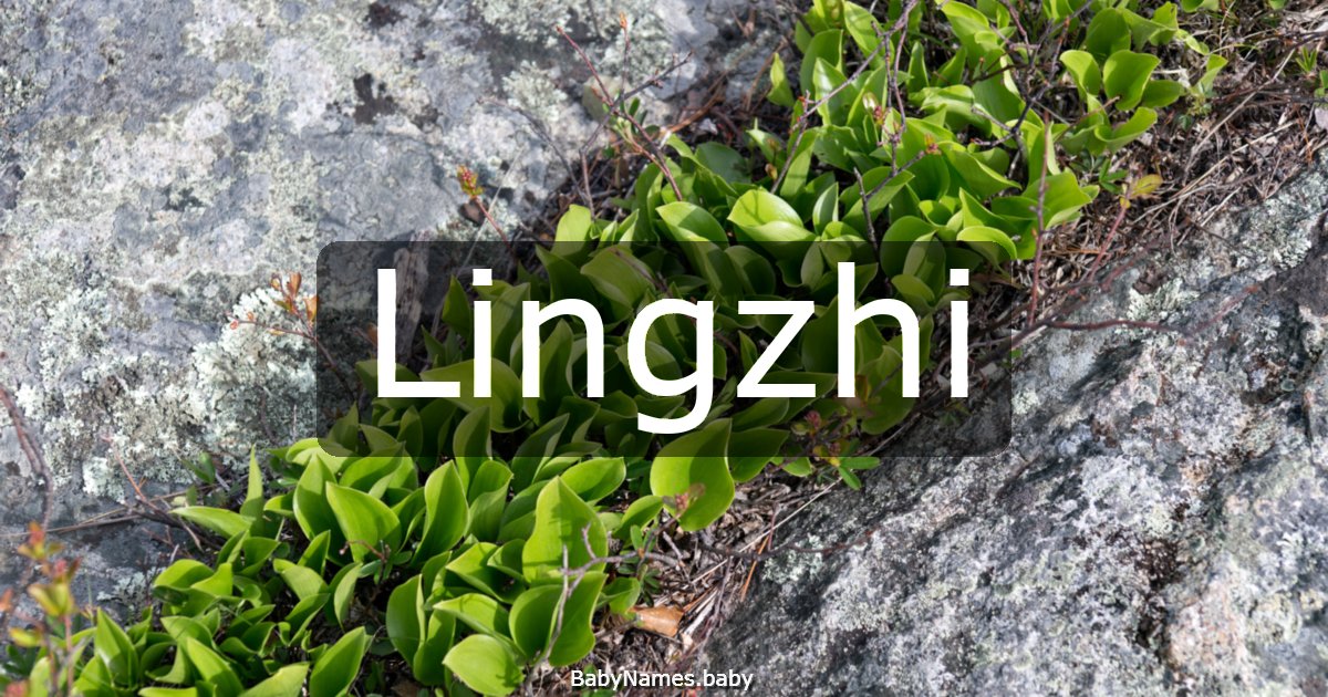 Lingzhi