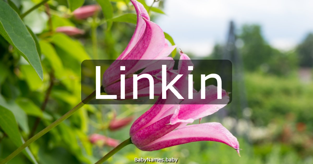Linkin