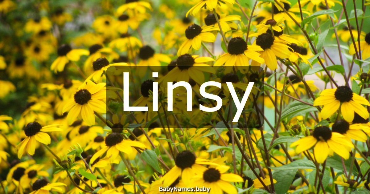 Linsy